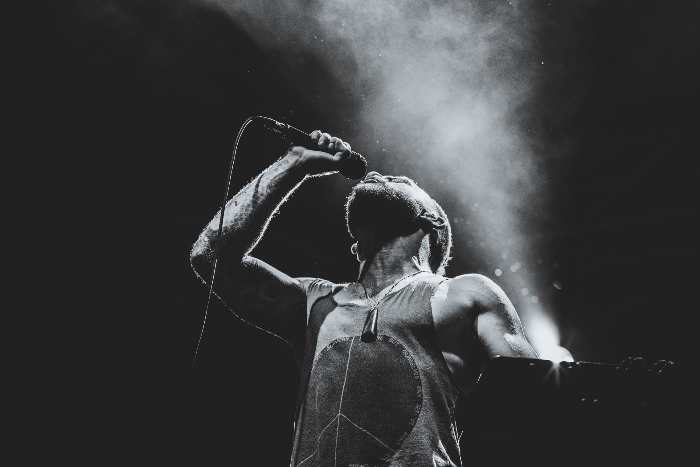 Dub FX Photo 6 1